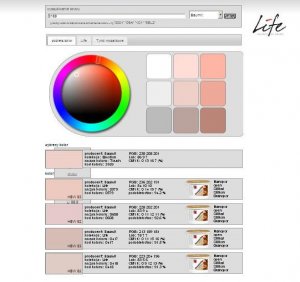 Aktualności - Narzędzia systemu kolorów Baumit Life dostępne także online!